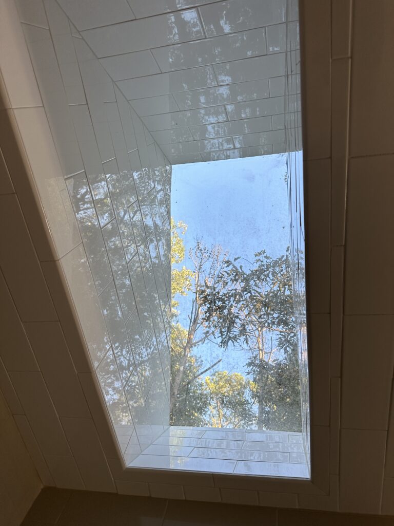 Skylight view of sky and trees.