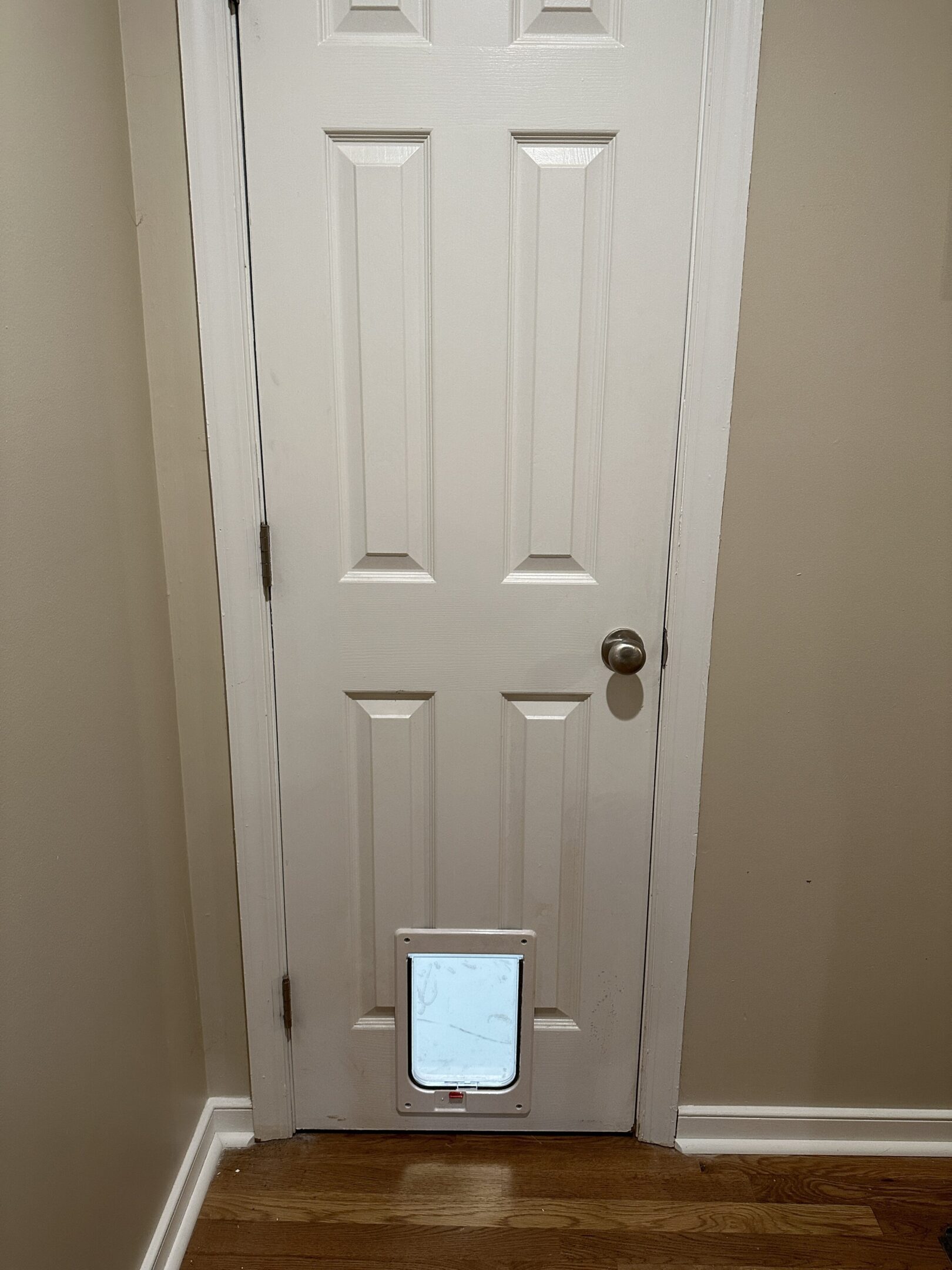 White door with pet flap installed.